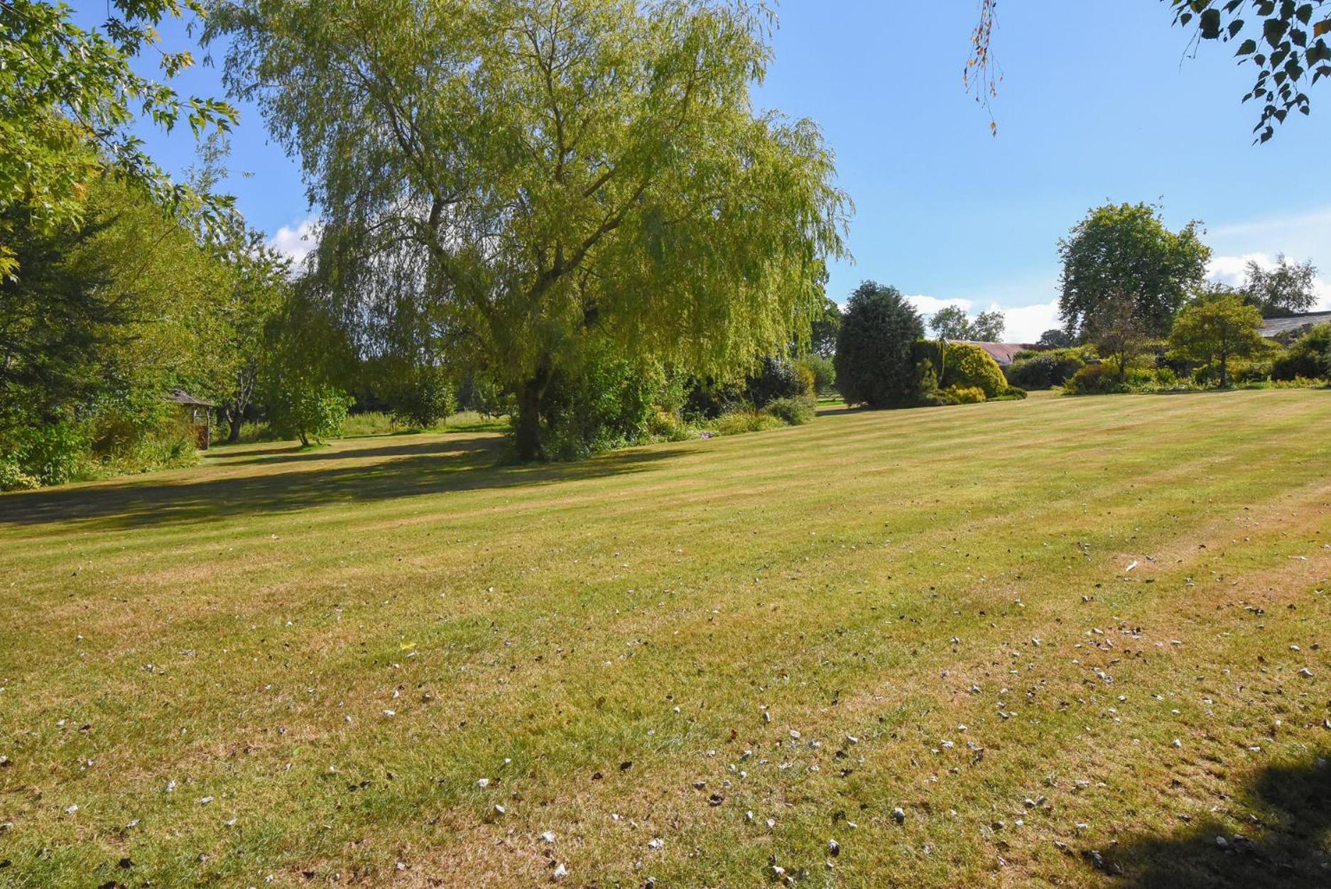 Vine Cottage Musbury Екстер'єр фото